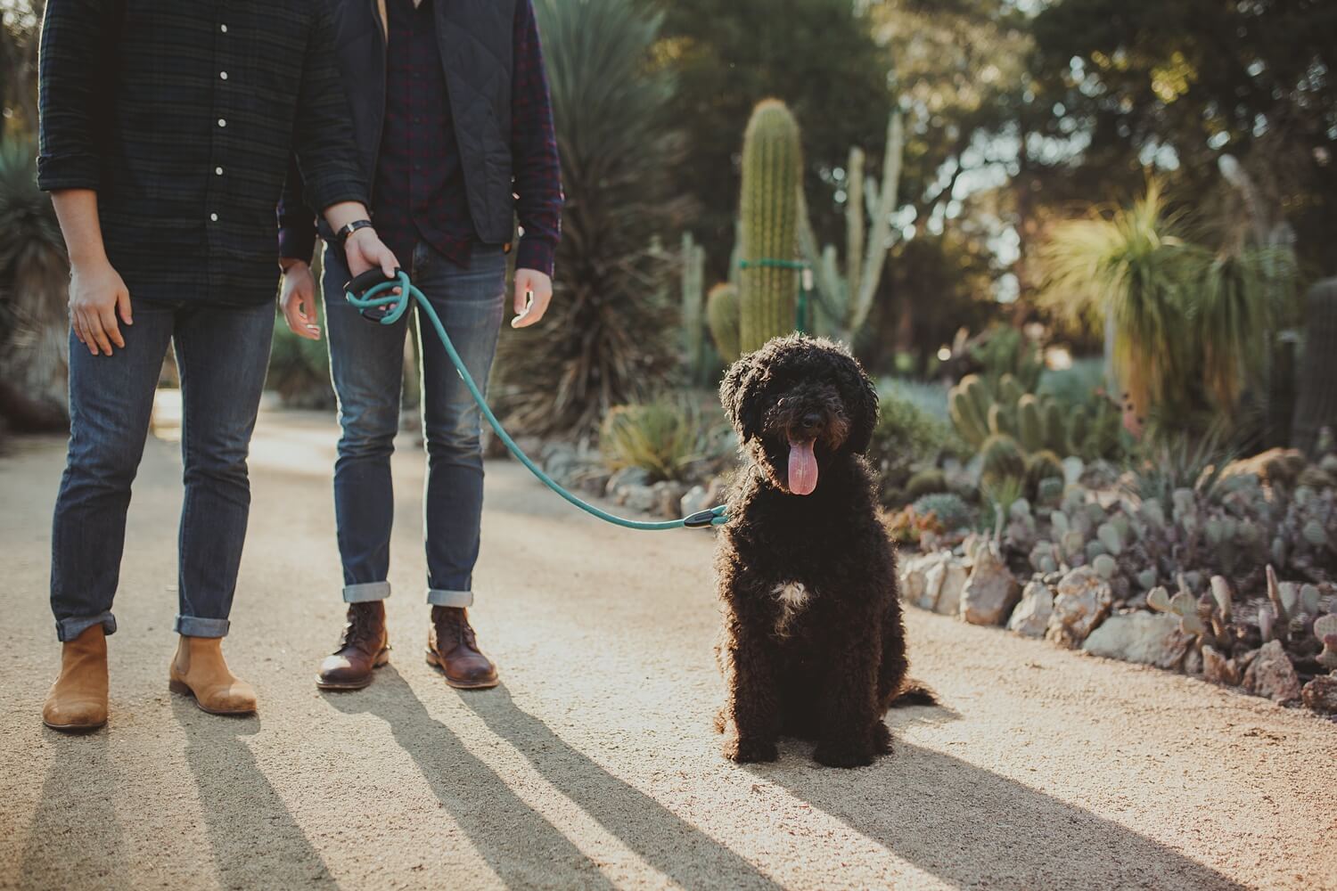 Josh and Tanner || Palo Alto Photography