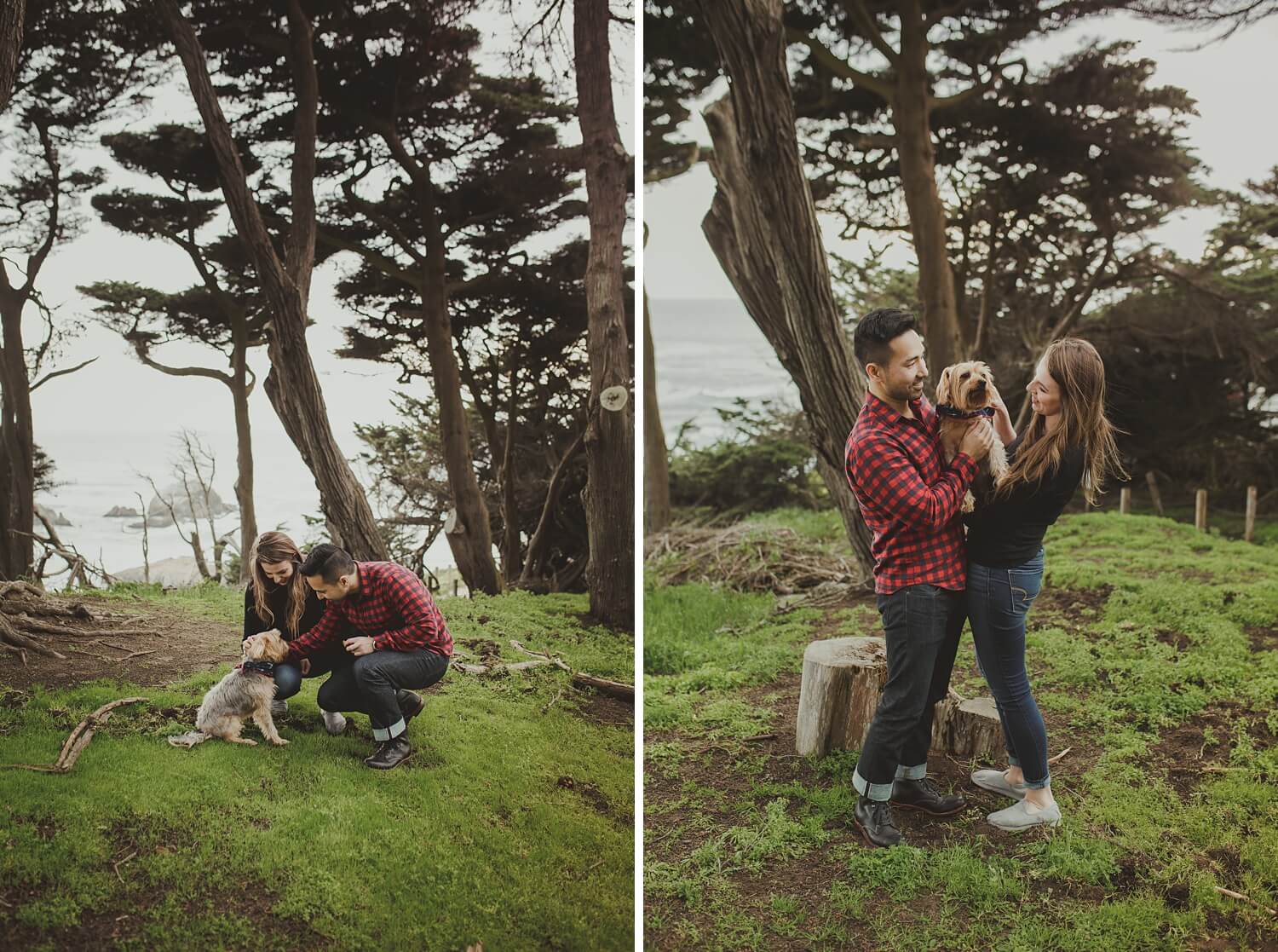 san francisco lands end sutro baths presidio baker beach rocks trees forest natural candid lifestyle engagement session engagement photos with dog