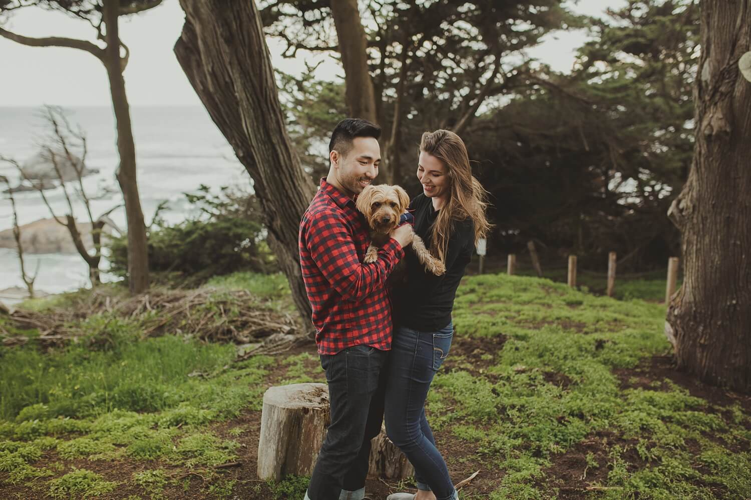 san francisco lands end sutro baths presidio baker beach rocks trees forest natural candid lifestyle engagement session engagement photos with dog