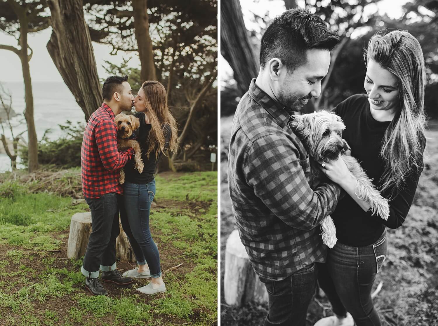 san francisco lands end sutro baths presidio baker beach rocks trees forest natural candid lifestyle engagement session engagement photos with dog