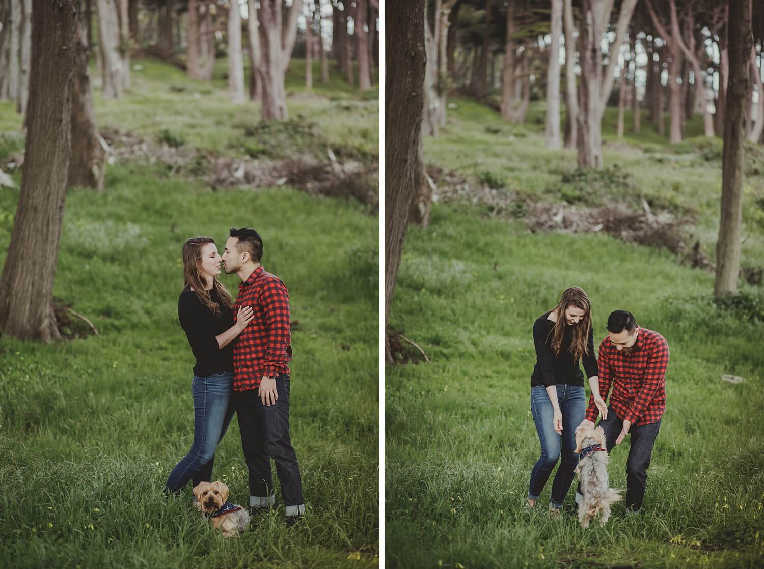 san francisco lands end sutro baths presidio baker beach rocks trees forest natural candid lifestyle engagement session engagement photos with dog