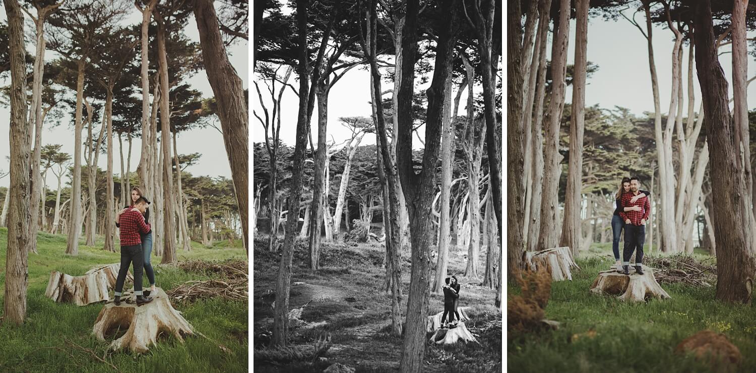 san francisco lands end sutro baths presidio baker beach rocks trees forest natural candid lifestyle engagement session engagement photos with dog