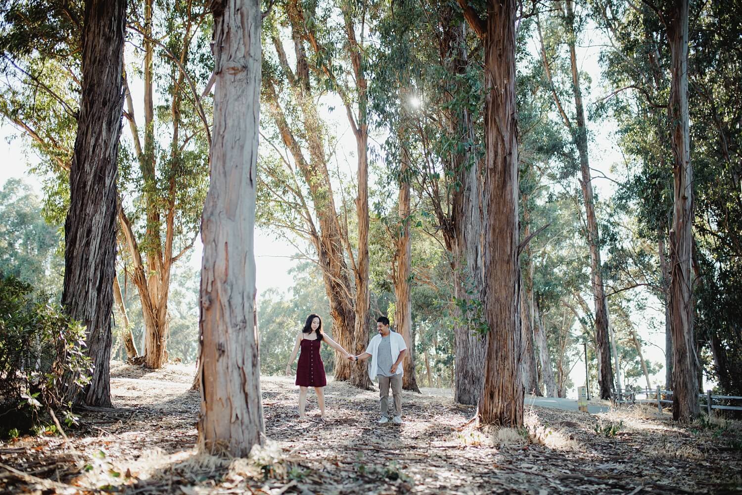 coyote point sf bay area engagements san francisco wedding photographer